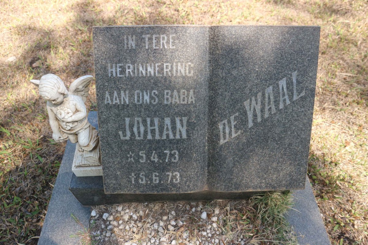 WAAL Johan, de -1973