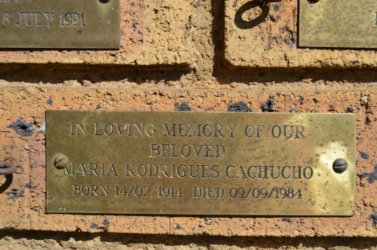 CACHUCHO Maria Rodrigues 1914-1984