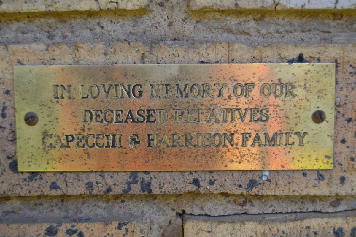 CAPECCHI :: HARRISON