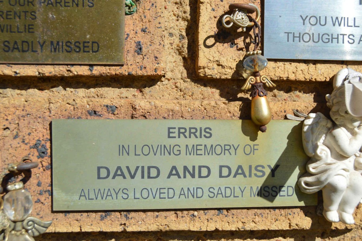 ERRIS David &amp; Daisy