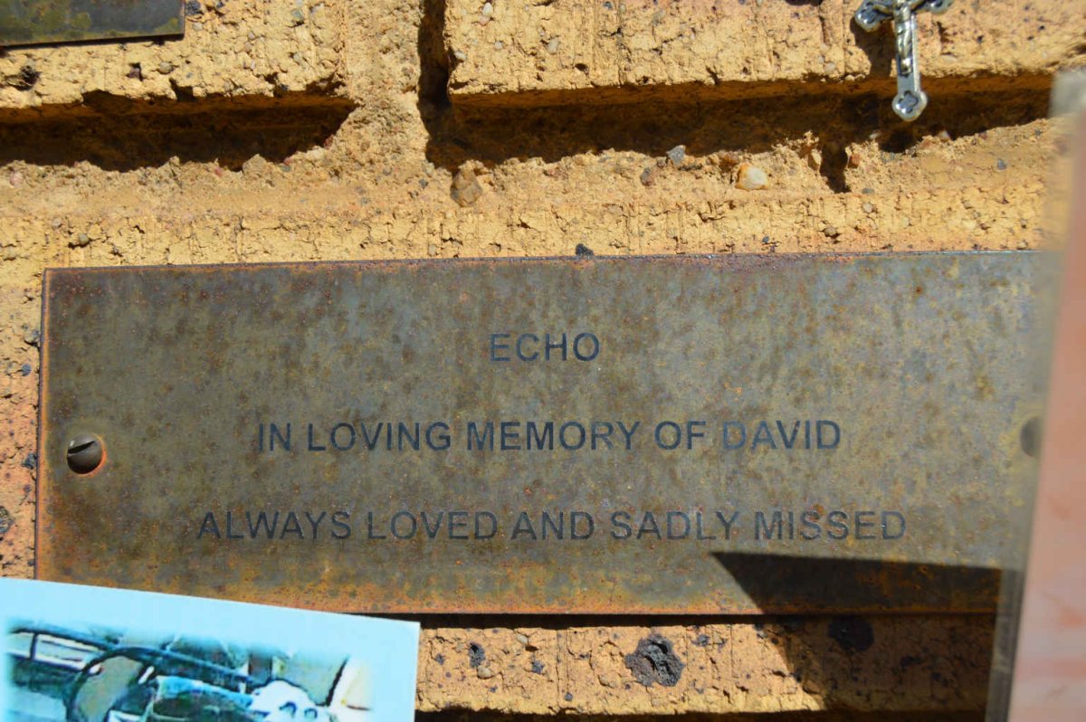 ECHO David