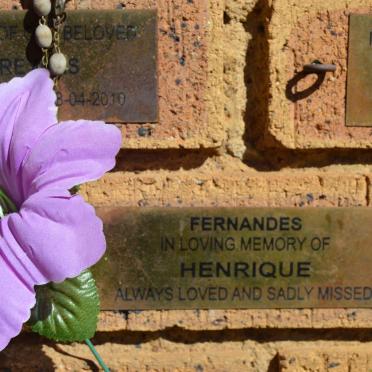 FERNANDES Henrique
