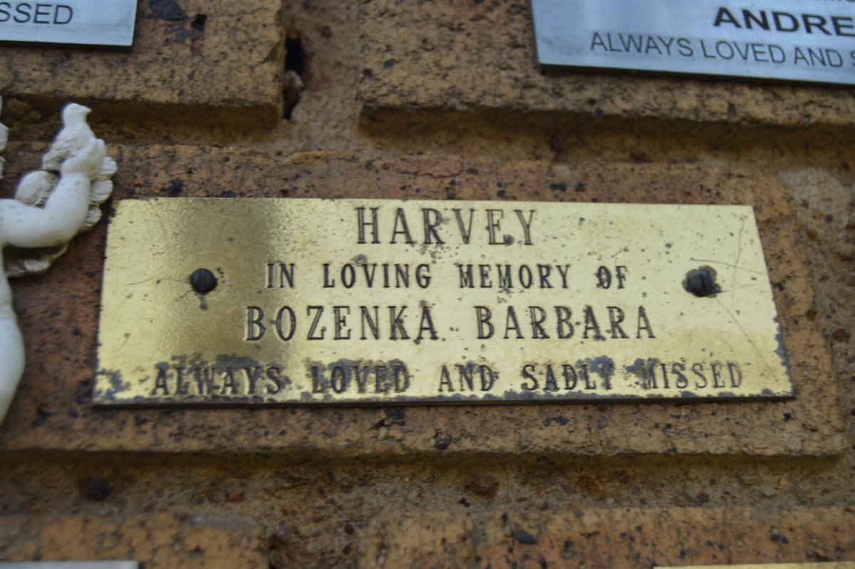 HARVEY Bozenka Barbara
