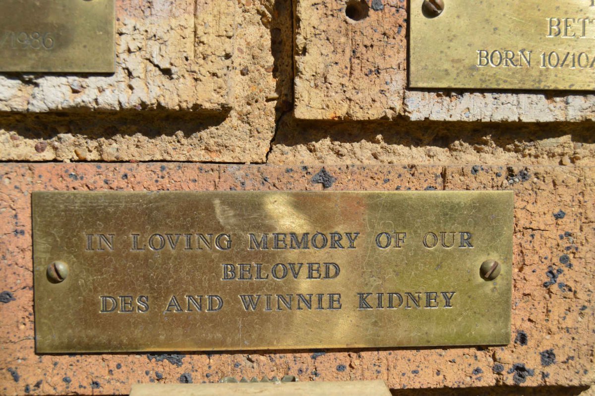 KIDNEY Des &amp; Winnie