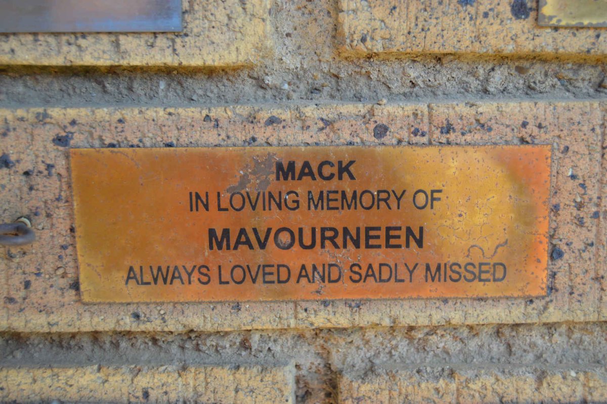 MACK Mavourneen