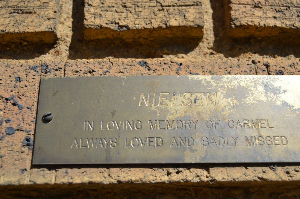 NIELSEN Carmel