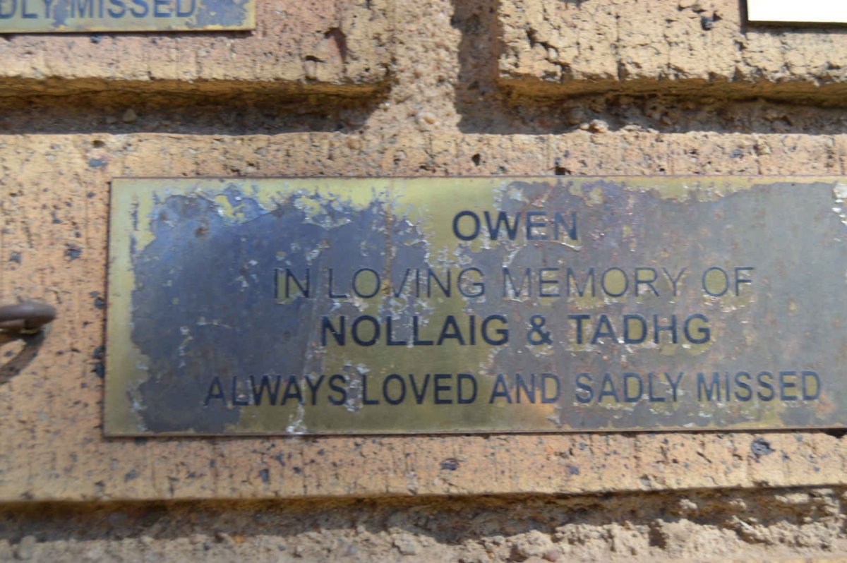 OWEN Nollaig &amp; Tadhg