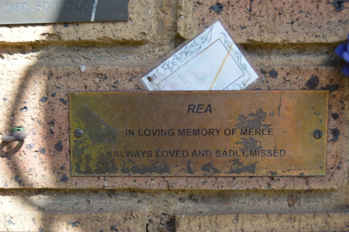 REA Merle