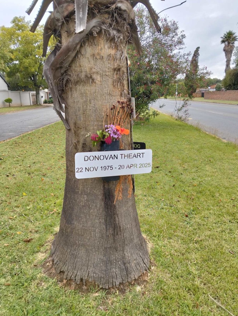 THEART Donovan 1975-2025