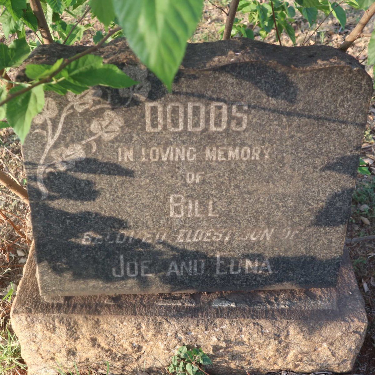DODDS Bill