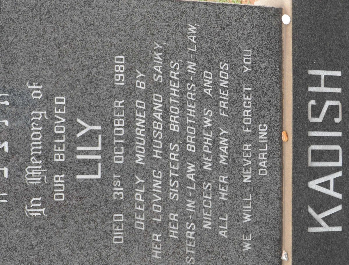 KADISH Lily -1980