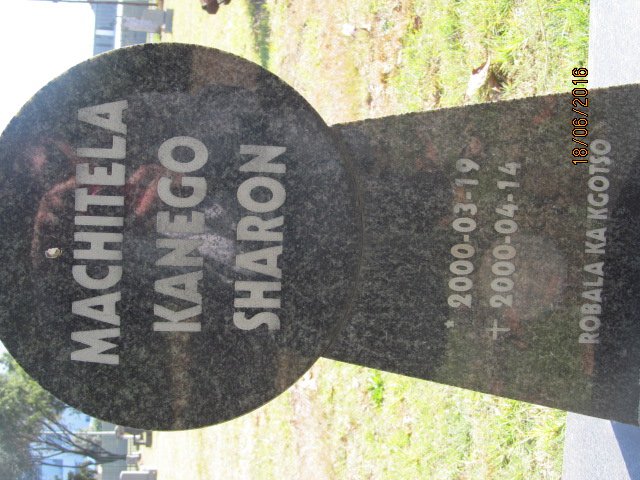 MACHITELA Kanego Sharon 2000-2000