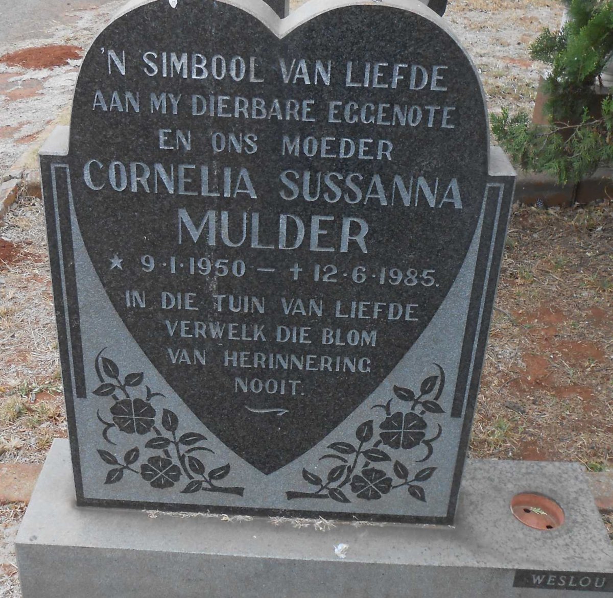 MULDER Cornelia Sussanna 1950-1985