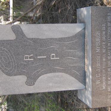MYBURGH W.C.J. 1911-1971