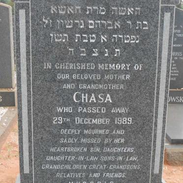 PLEAT Chasa -1989