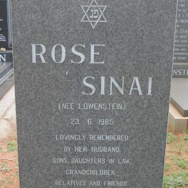 SINAI Rose nee LOWENSTEIN -1965