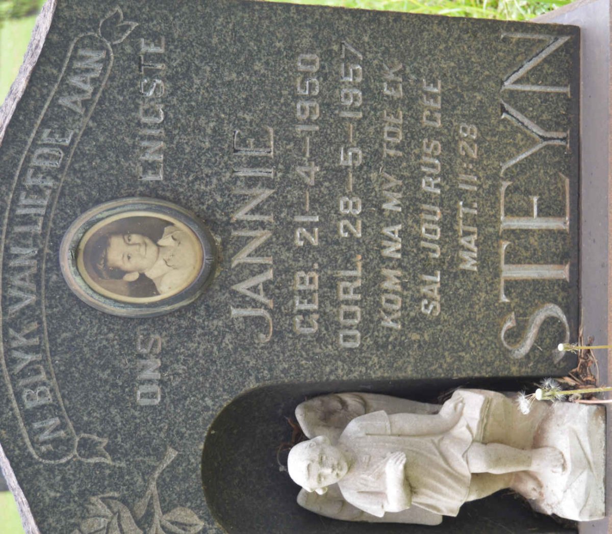 STEYN Jannie 1950-1957