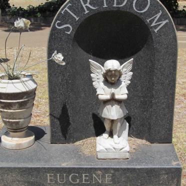 STRYDOM Eugene 1976-1976