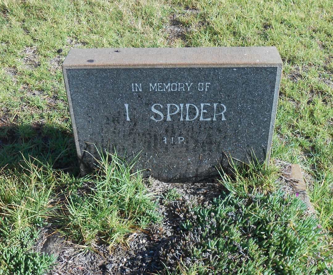 SPIDER I.