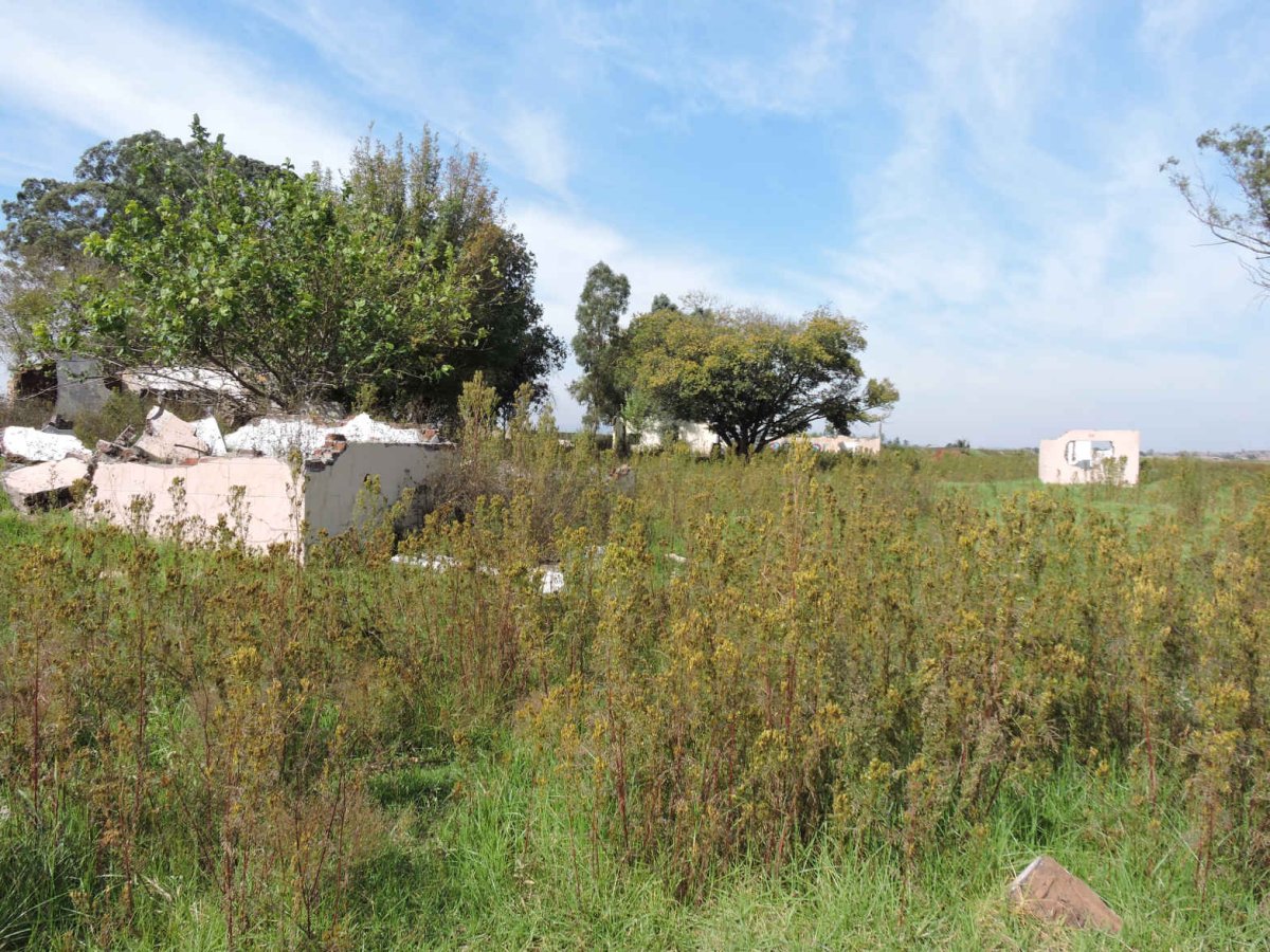 2. Overview