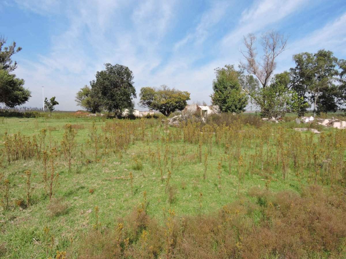 1. Overview