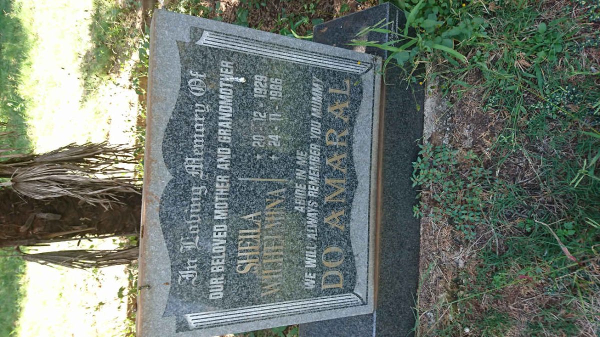 AMAREL Sheila Wilhelmina, do 1929-1986