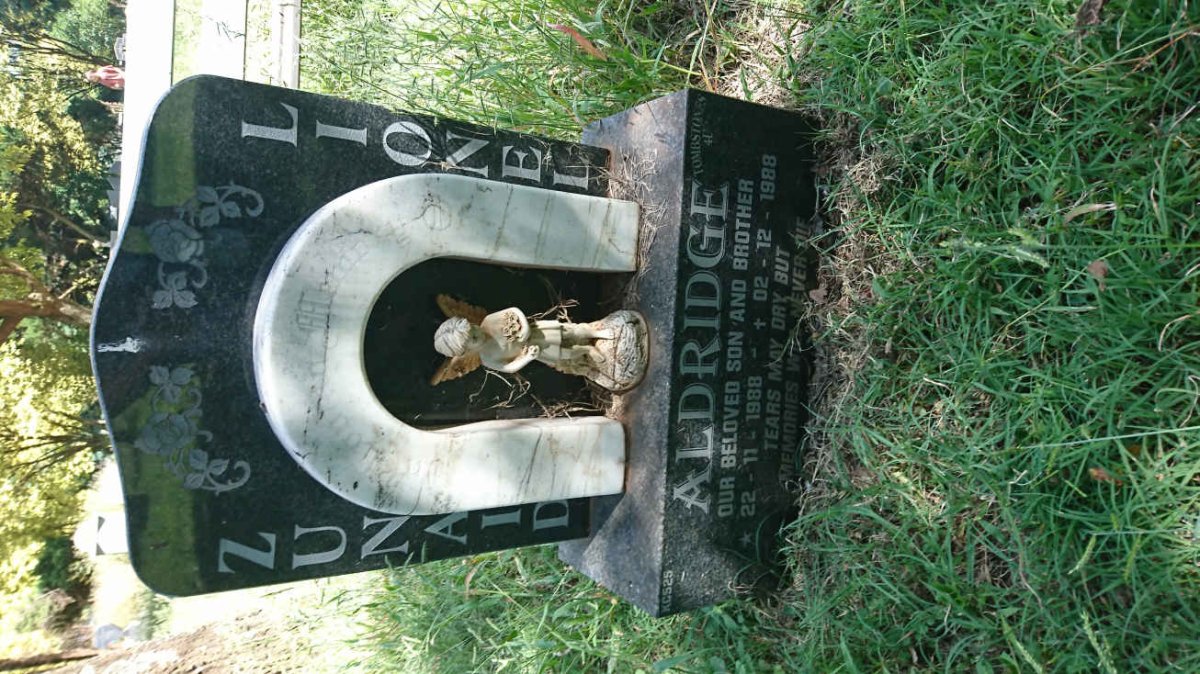ALDRIDGE Zunaid Lionel 1988-1988