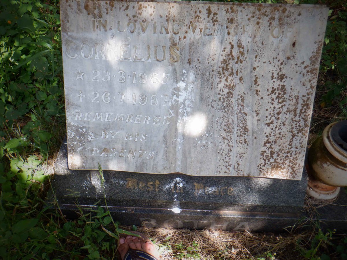 BOTHA Cornelius 1965-1987