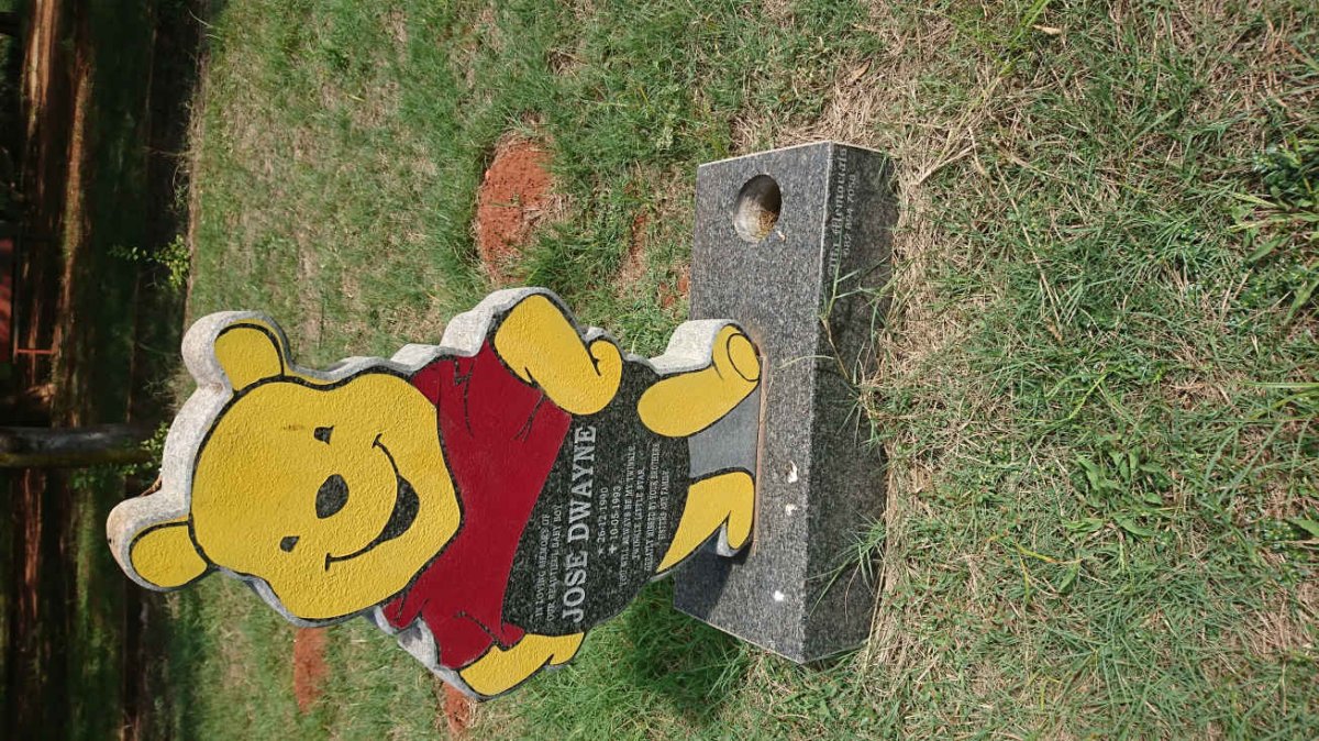 DWAYNE Jose 1990-1993