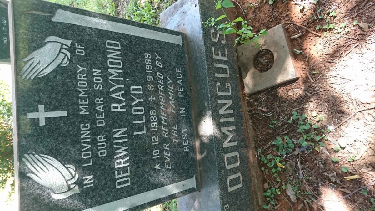 DOMINGUES Derwin Raymond Lloyd 1988-1989