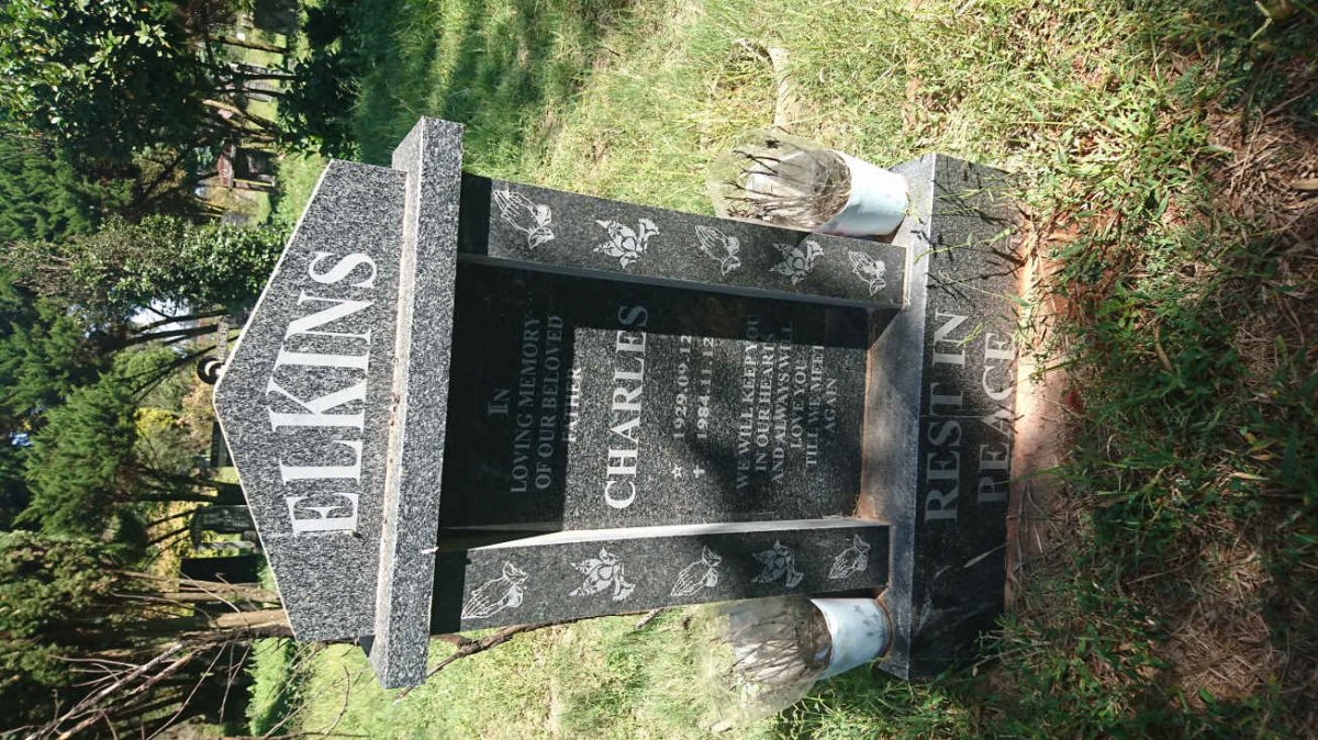 ELKINS Charles 1929-1984