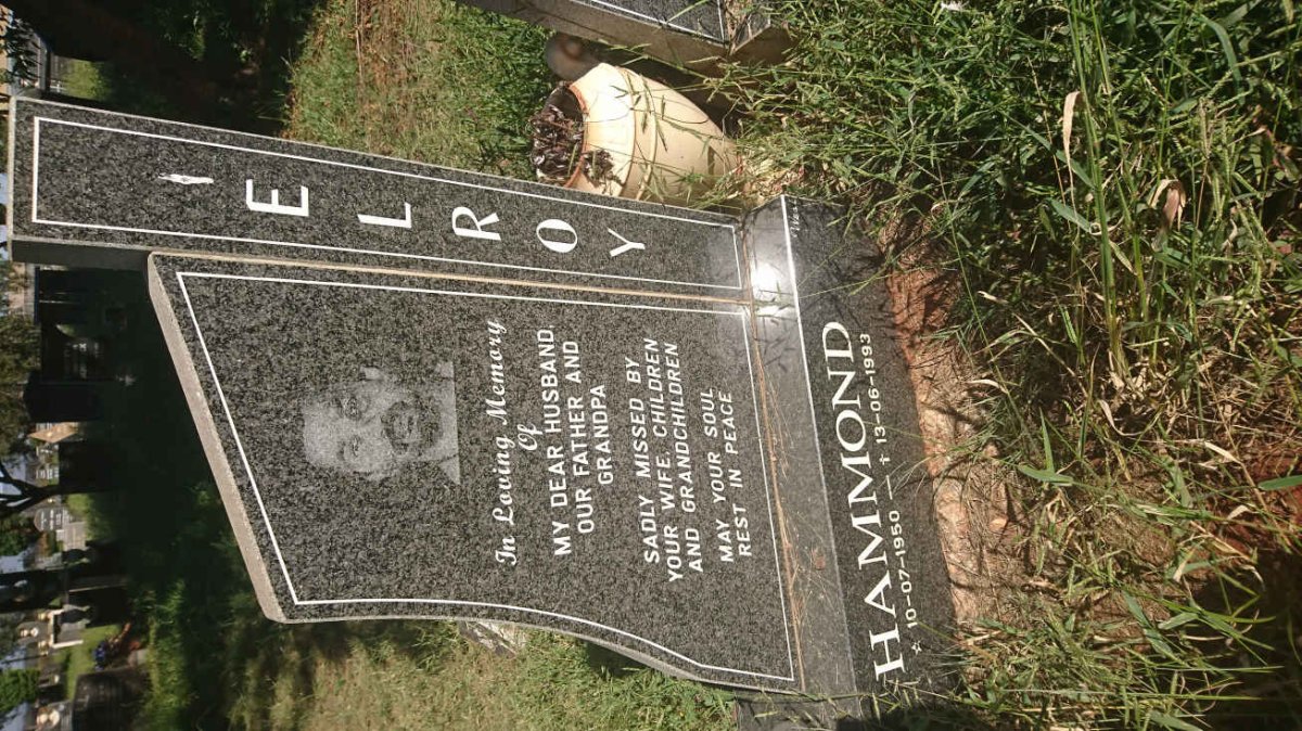 HAMMOND Elroy 1950-1993