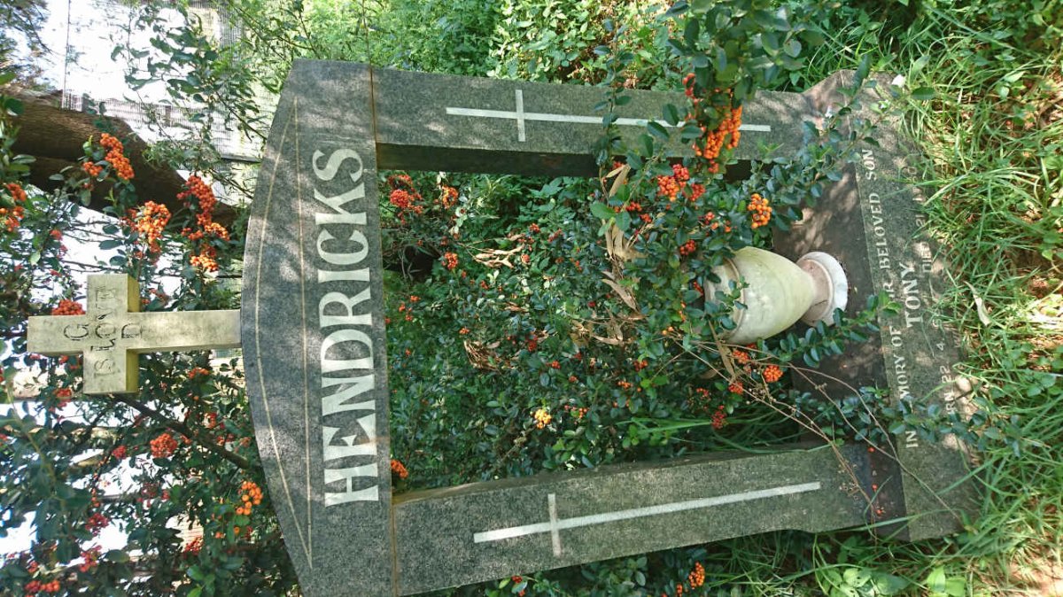 HENDRICKS Tony 1968-1980