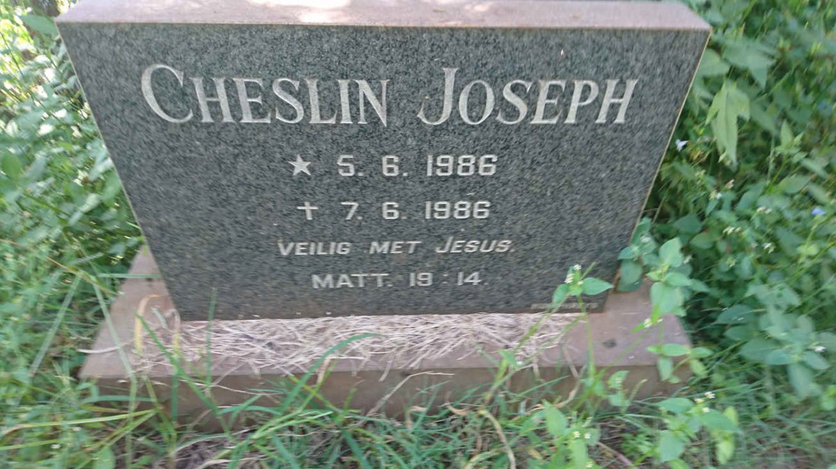 JOSEPH Cheslin 1986-1986
