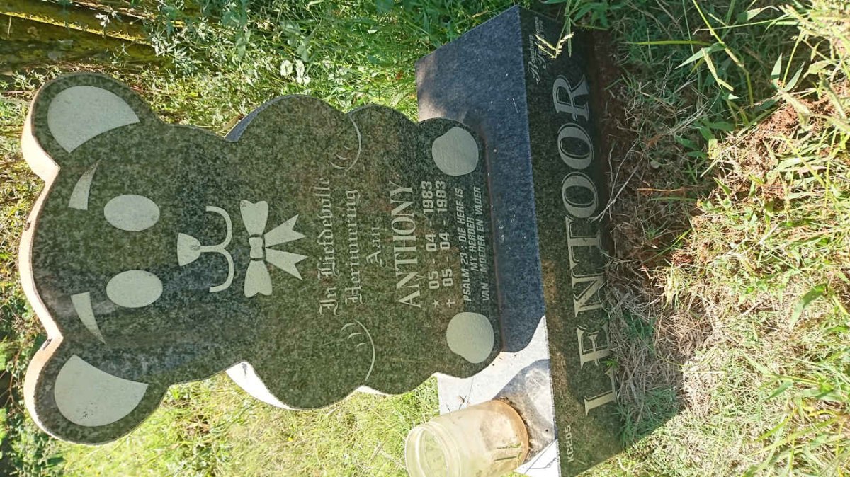 LENTOOR Anthony 1983-1983