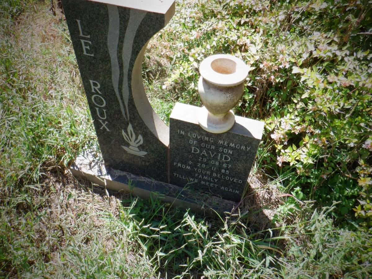 ROUX David, le 1967-1985
