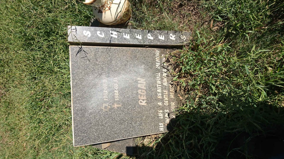 SCHEEPERS Regan 1963-1988