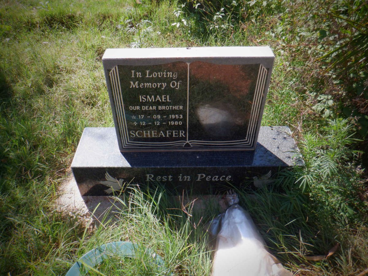 SCHEAFER Ismael 1953-1980
