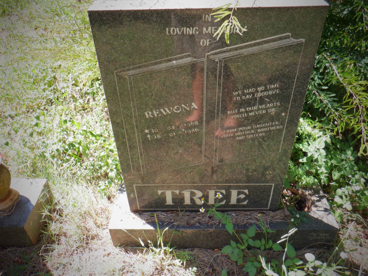 TREE Rewona 1968-1986