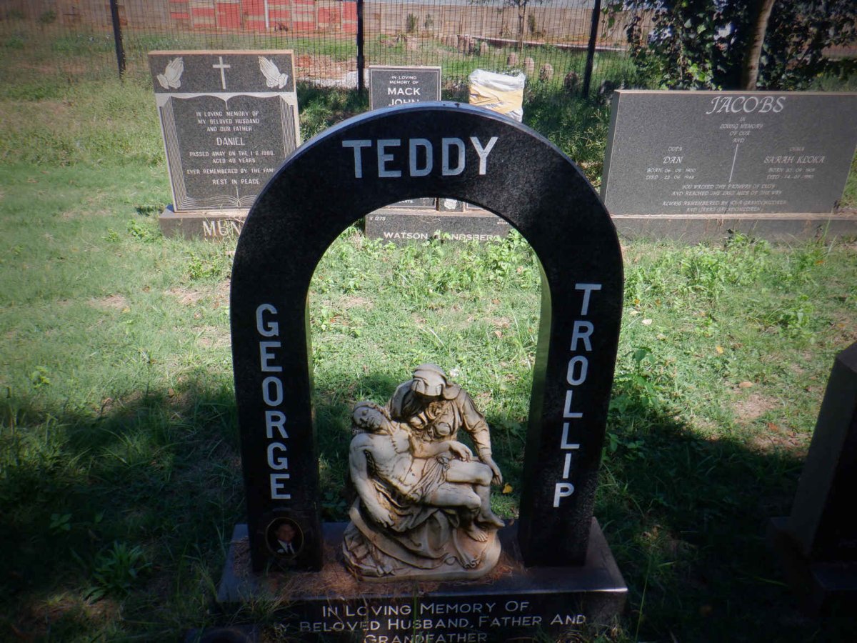 TROLLIP Teddy George