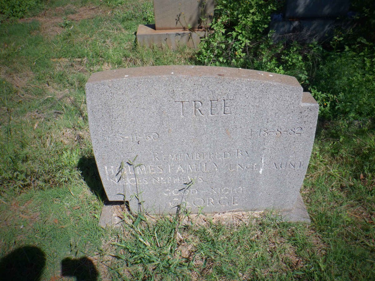 TREE George 1960-1982