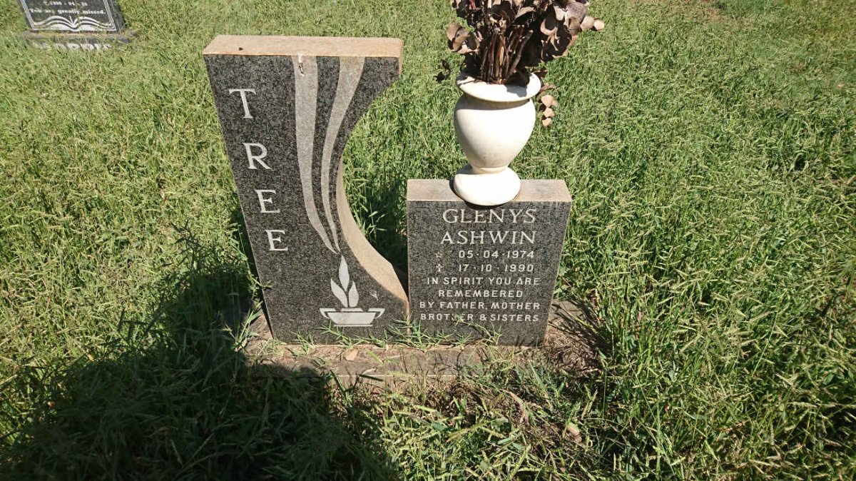 TREE Glenys Ashwin 1974-1990