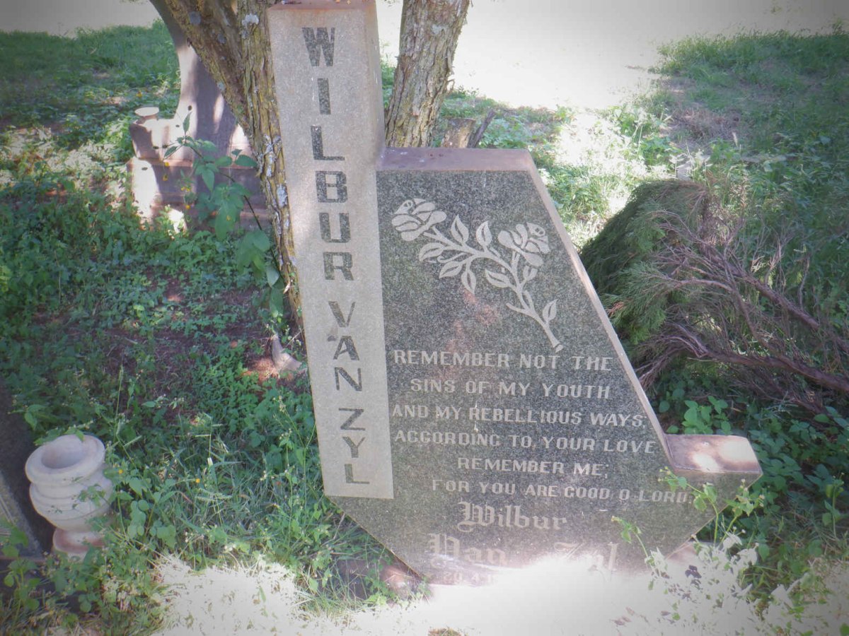 ZYL Wilbur, van