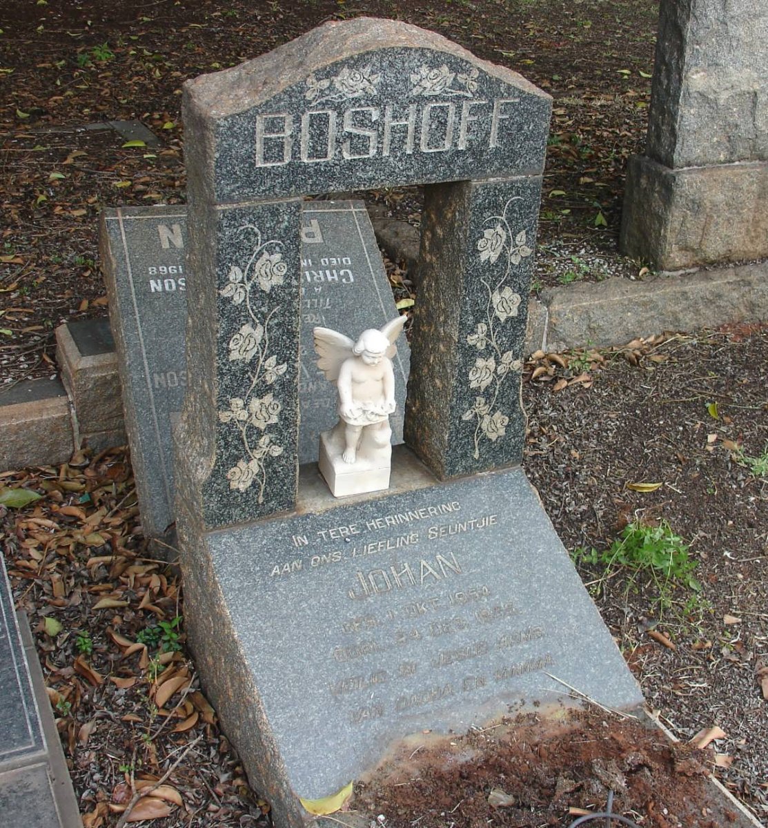 BOSHOFF Johan 1954-1955