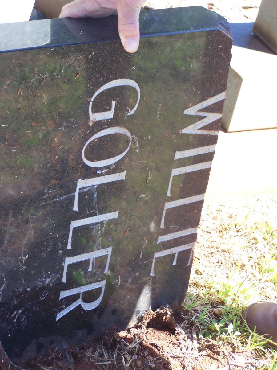 GOLLER Willie
