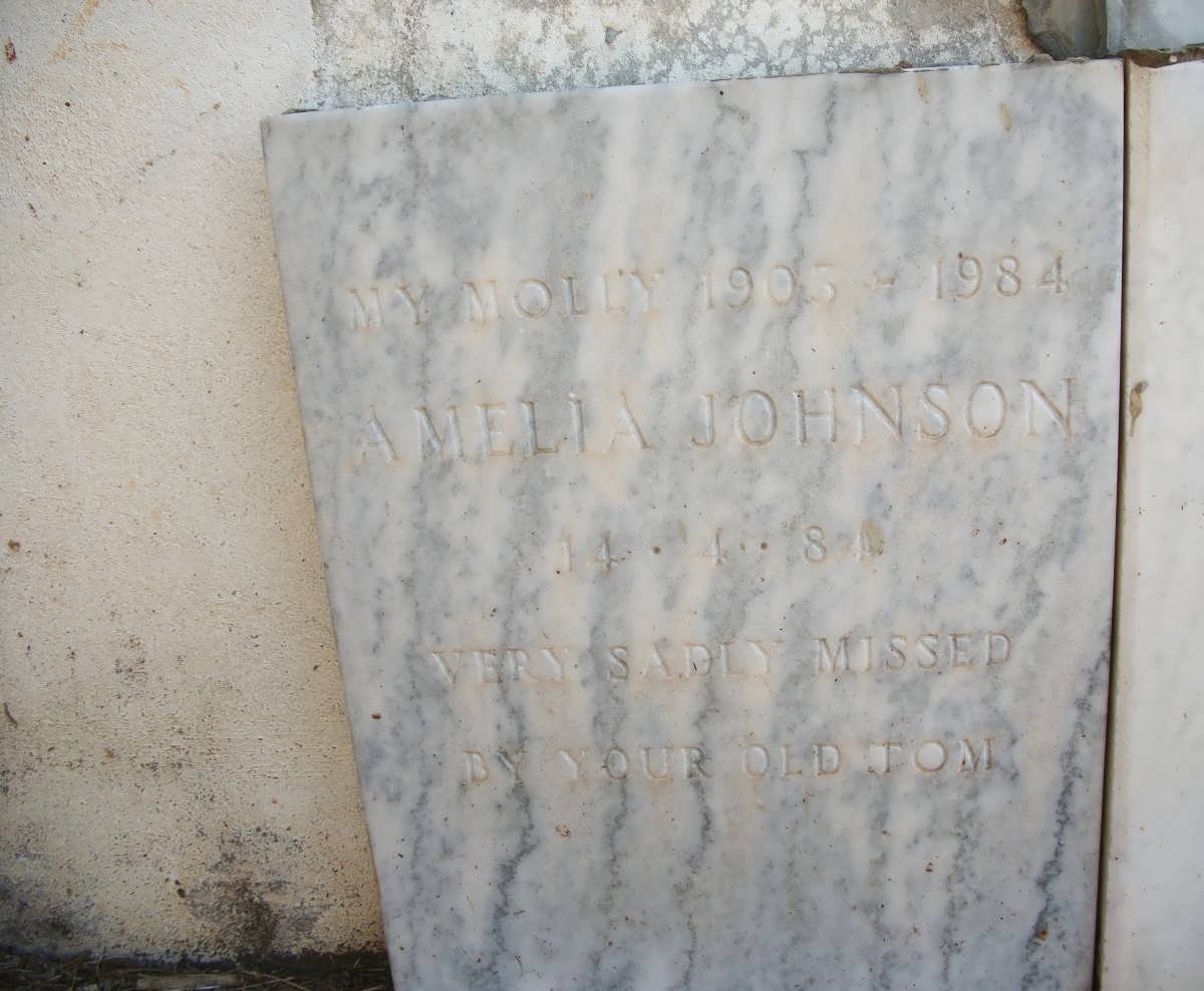 JOHNSON Amelia 1905-1984