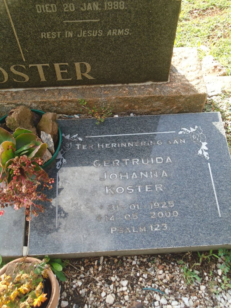 KOSTER Johannes Marthinus 1893-1953 &amp; Eliza Daisy 1893-1986 :: KOSTER Petrus Jacobus 1918-1997 &amp; Gertruida Johanna 1925-