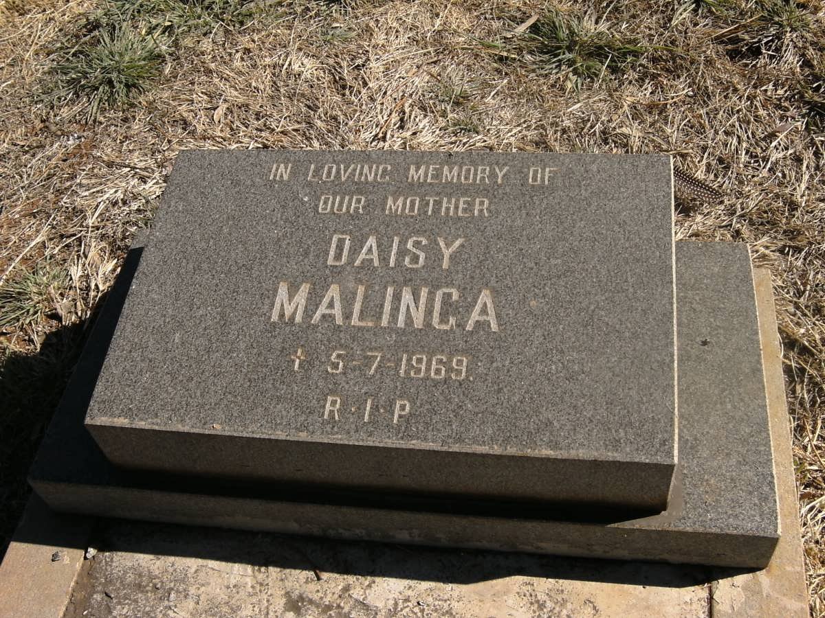 MALINGA Daisy -1969