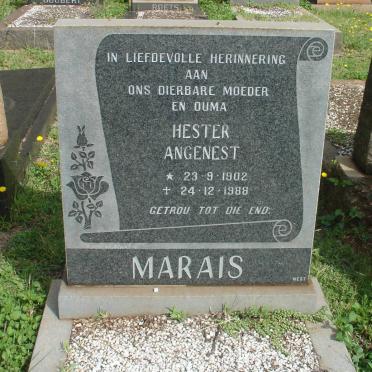 MARAIS Hester Angenest 1902-1988