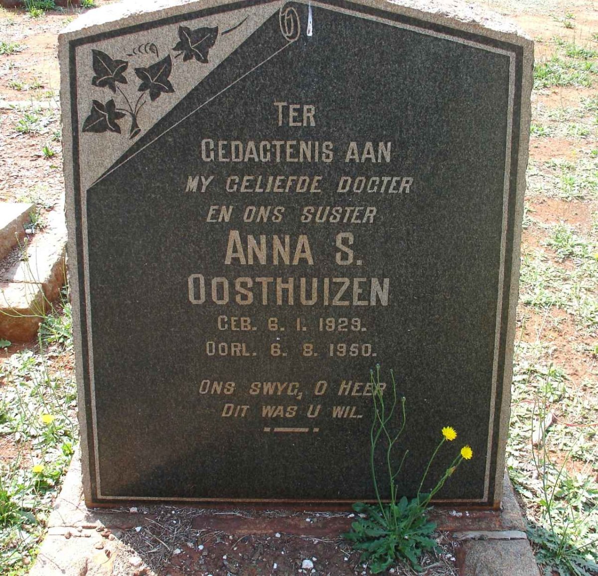 OOSTHUIZEN Anna S. 1929-1950